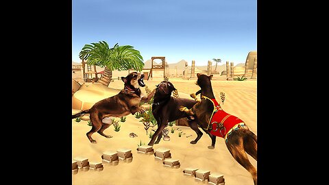 The most dangerous war for dogs