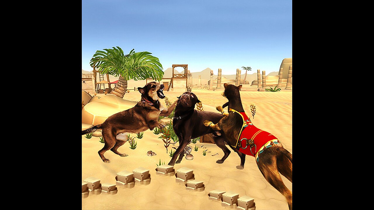The most dangerous war for dogs