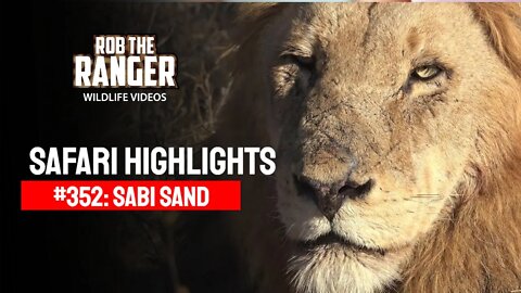 Safari Highlights #352: 14 - 16 July 2015 | Sabi Sand Nature Reserve | Latest Wildlife Sightings