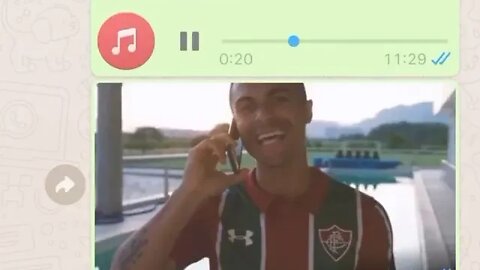 Torcedor do Flu puto com Egídio - Áudio do WhatsApp