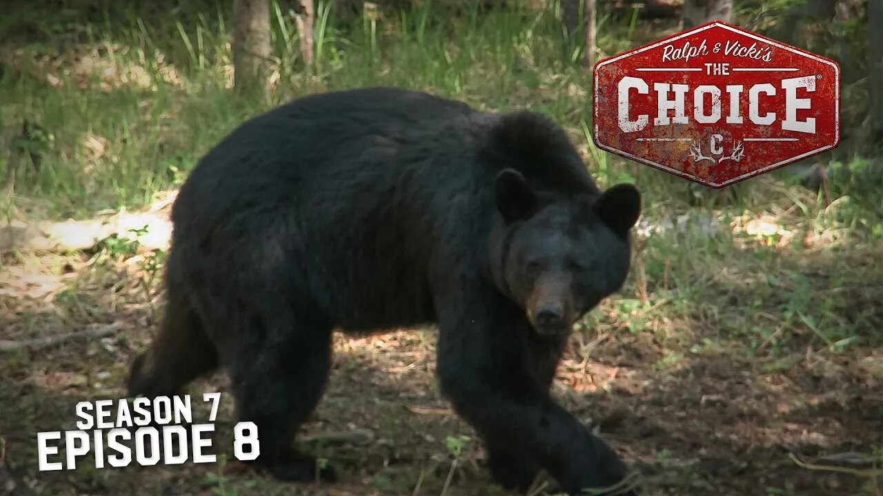 BIG TIME ALBERTA BLACK BEARS - The Choice (Full Episode) // S7: Episode 8