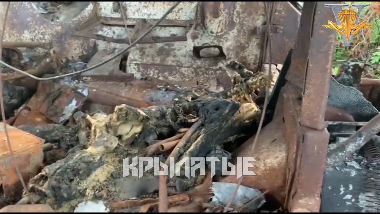 Ukraine lost 1 BTR-80(crew burned to death) and 2 BRDM-2 against VDV paratroopers