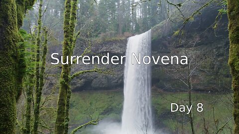 Surrender Novena - Day 8