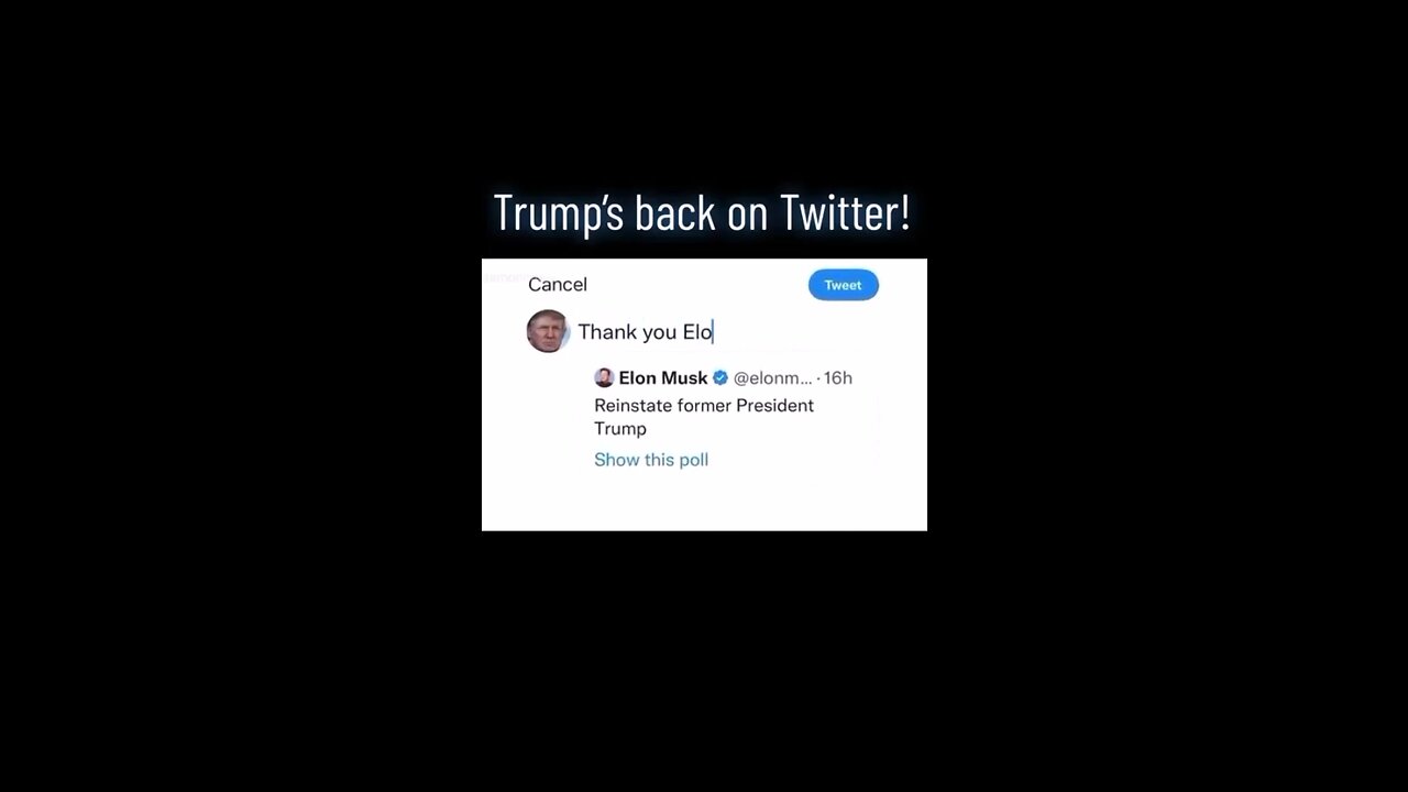 elon musk unbanning donald trump be like...