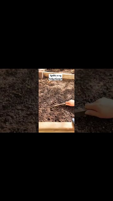 Backyard Gardening Project