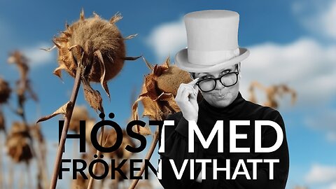 Live - Höst med fröken vithatt 19 okt + eftersnack på X och YT