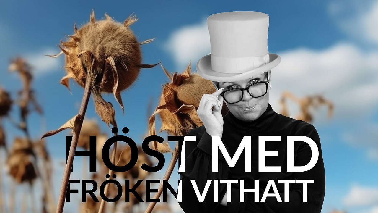 Live - Höst med fröken vithatt 19 okt + eftersnack på X och YT