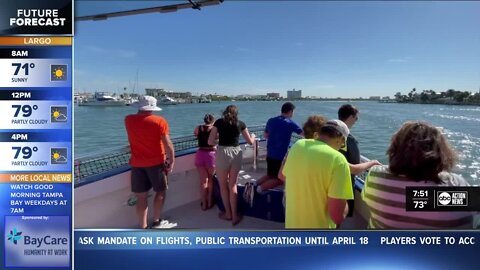 Finding dolphins off the coast of Clearwater Beach is fun for the whole family