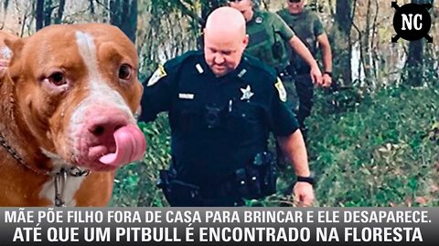 Mãe põe filhinho fora de casa para brincar e ele desaparece. Até que um Pitbull é encontrado...