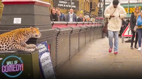 LEOPARD_PRANK!_-_In_Camden_Town!(