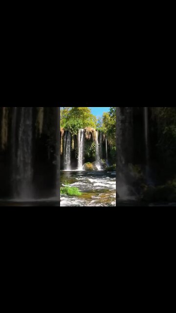 River Sounds #Shorts 🌲