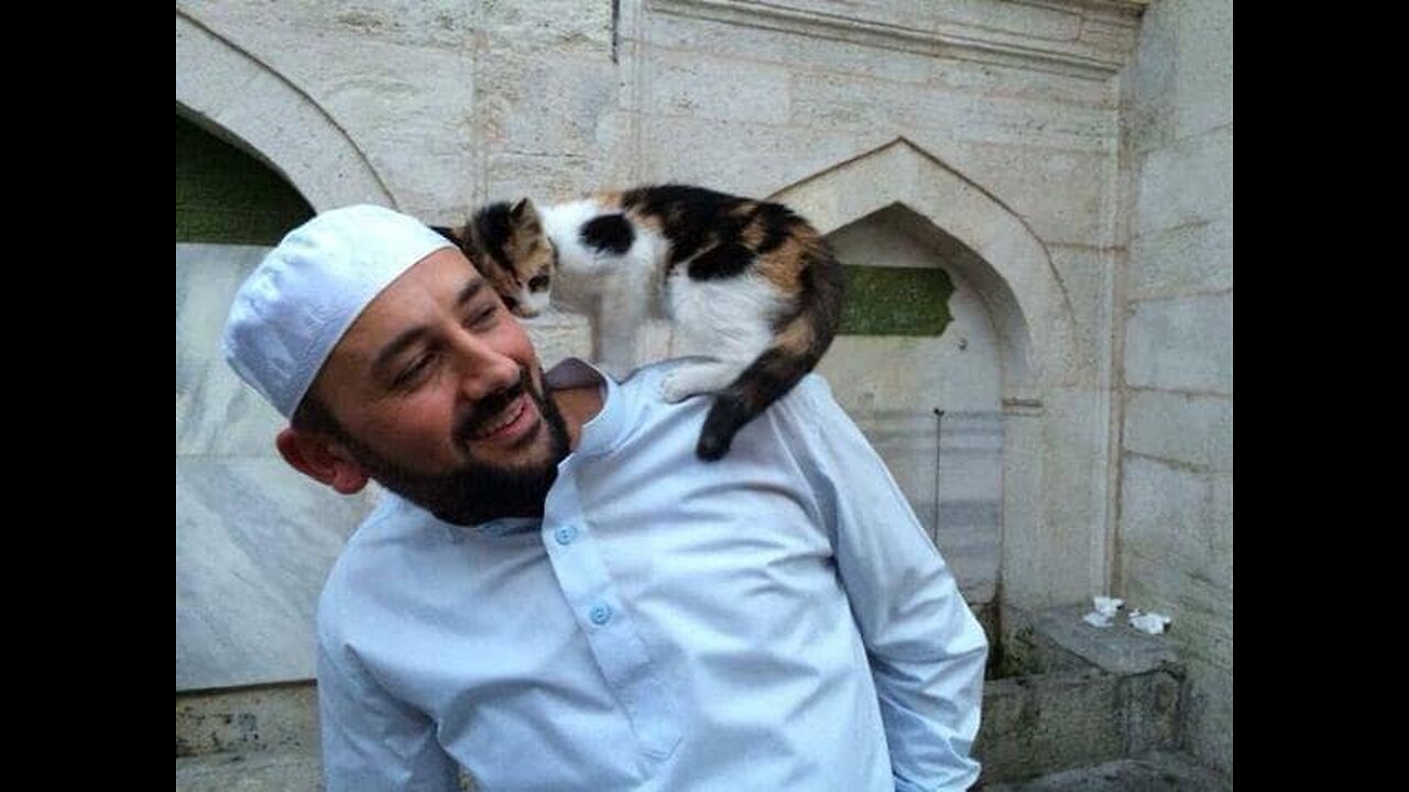 Cat love with Imam when he was saying prayer