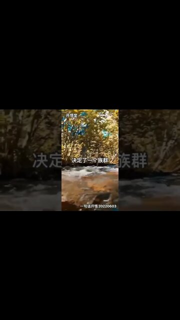 一句话开悟20220603