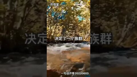 一句话开悟20220603