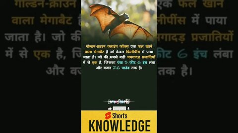 Motivational Quotes Intresting Facts lifestyle & research #shorts #ytshorts #knowledge #motivation