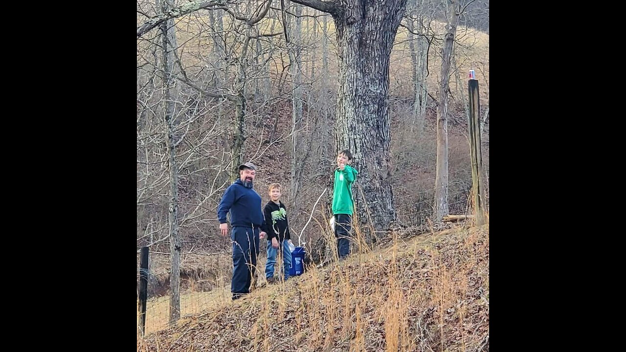 Maple tree tappin' for beginners