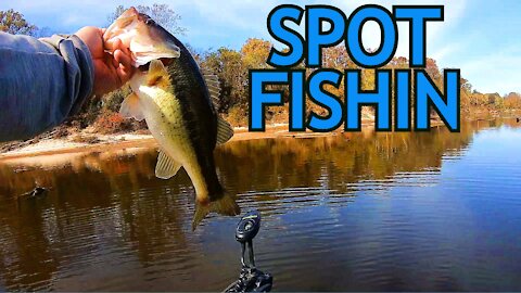 Catching Spotted Bass on the Pearl River in the Fall