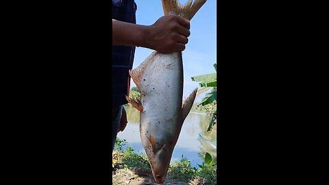 fishing
