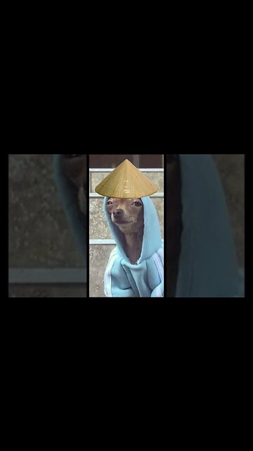 Armani White - BILLIE EILISH. (asian cover)