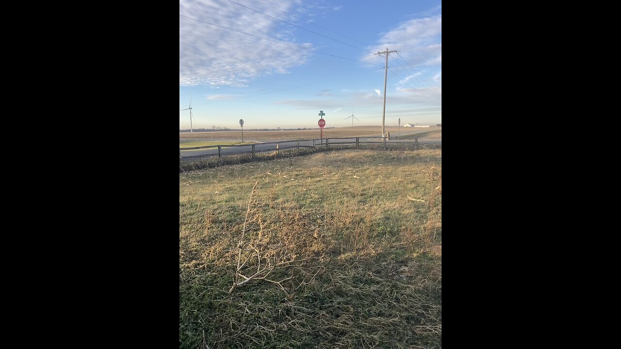 Solar farm semis