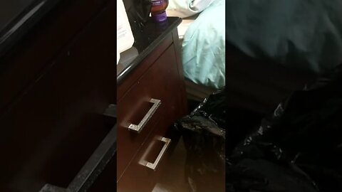 #gangstalking paramedics #gaslighting 02/01/2022