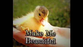 Make Me Beautiful