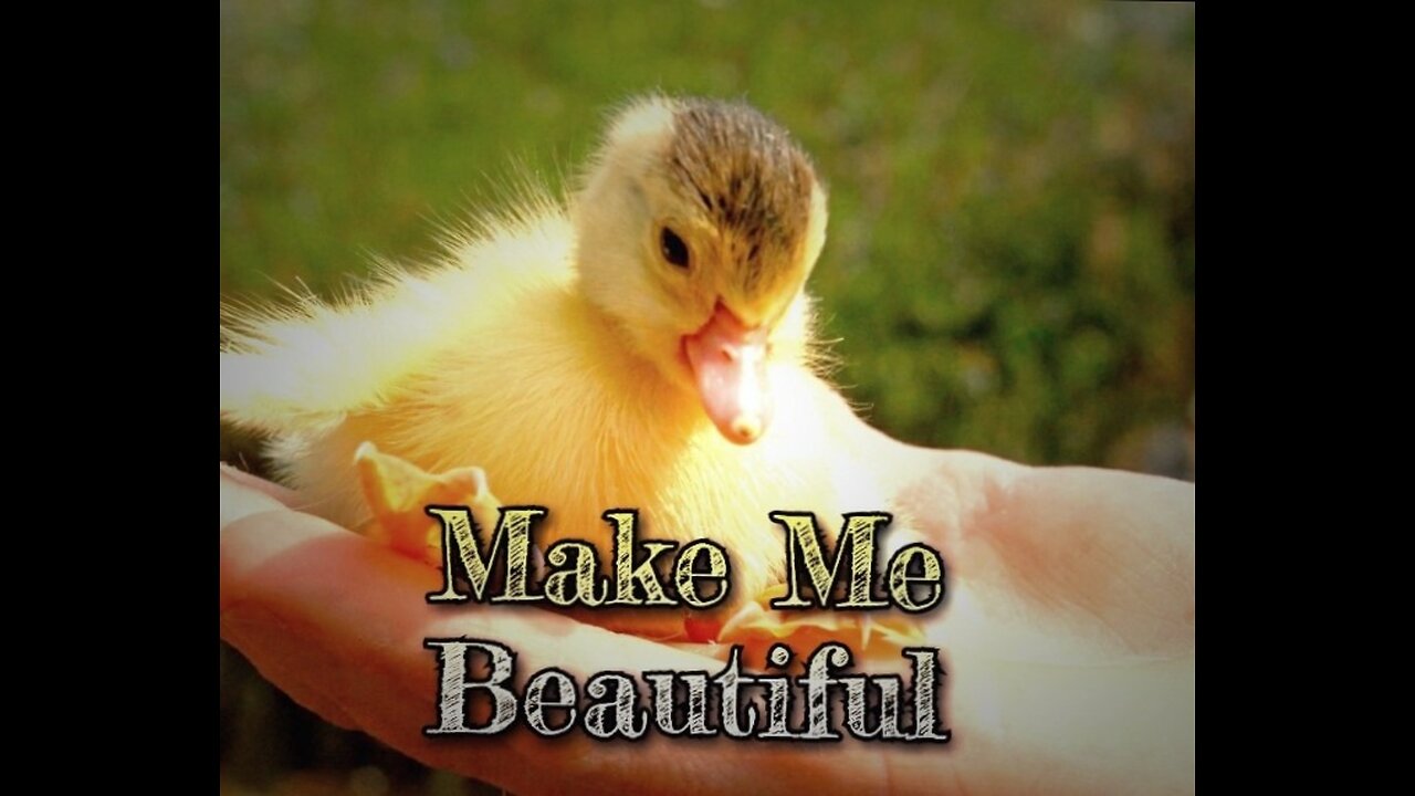 Make Me Beautiful