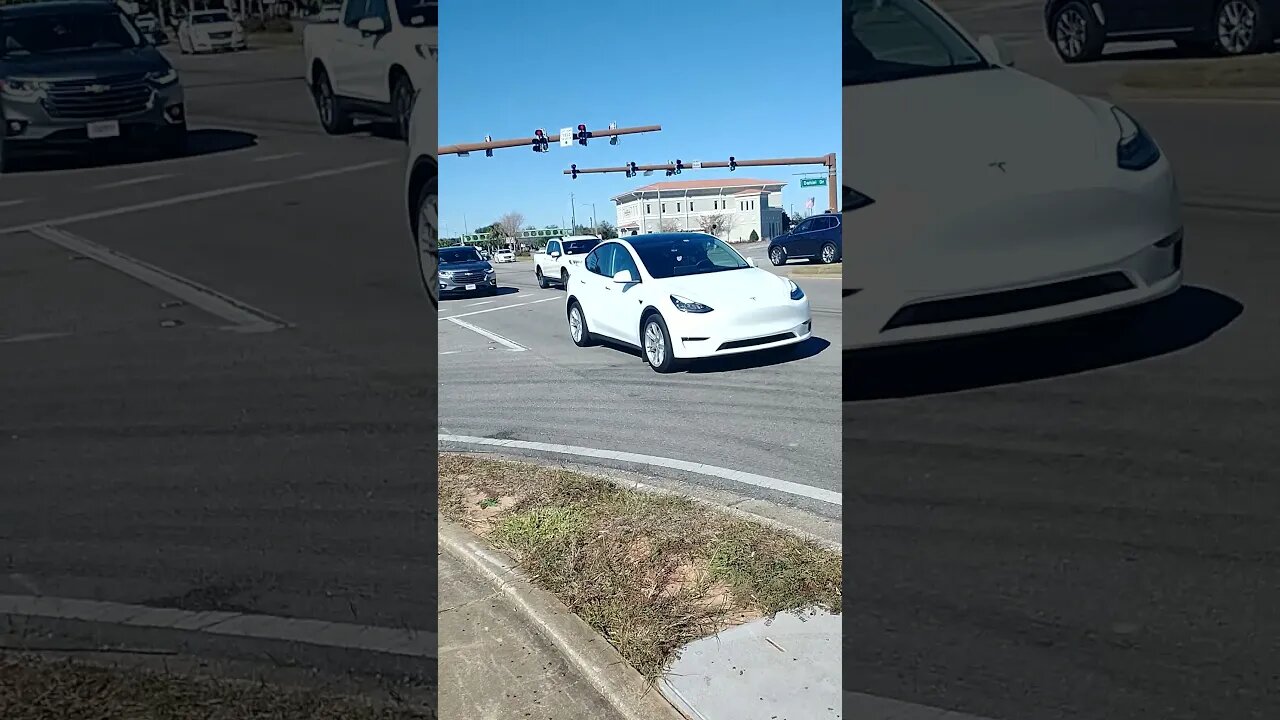 Gang Stalking Perp Walk 11/29/2021