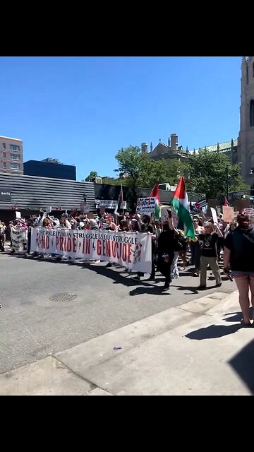 🚨 BREAKING: Pro-Palestine Protesters Clash with LGBTQ Pride Attendees, Block Parade Route in Denver