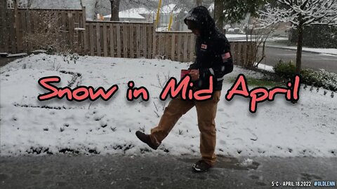 Snow in Spring