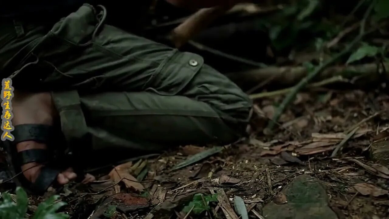 Man lives in the rain forest all year round and uses natural tree holes as shelter/Episode22