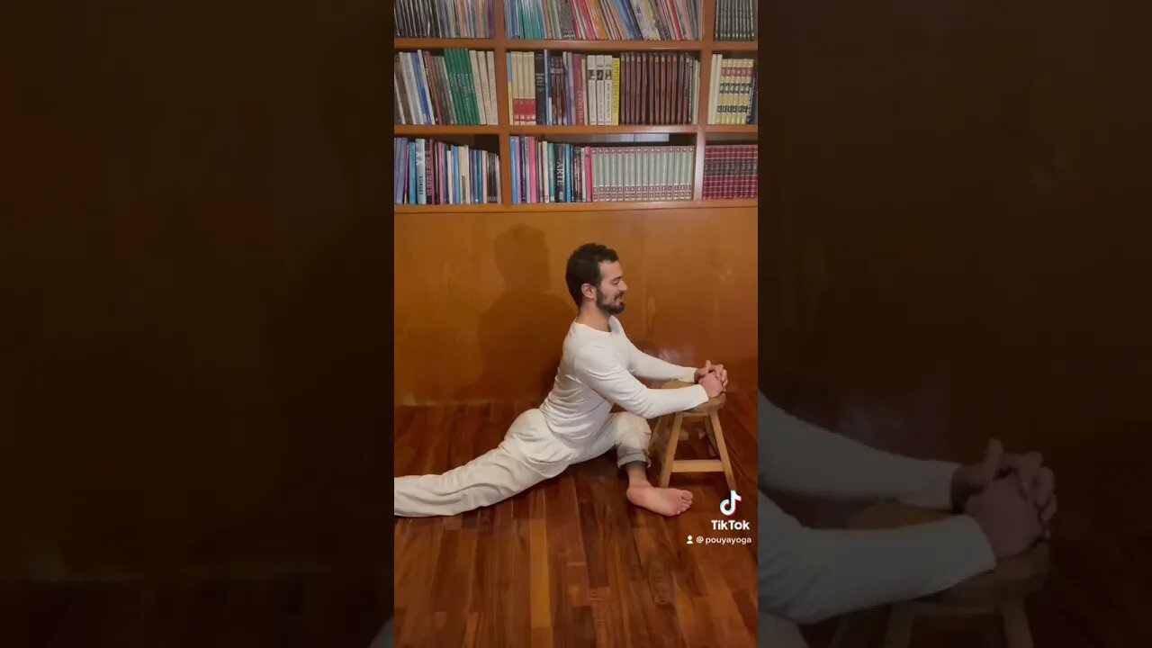 Learn the pigeon with me