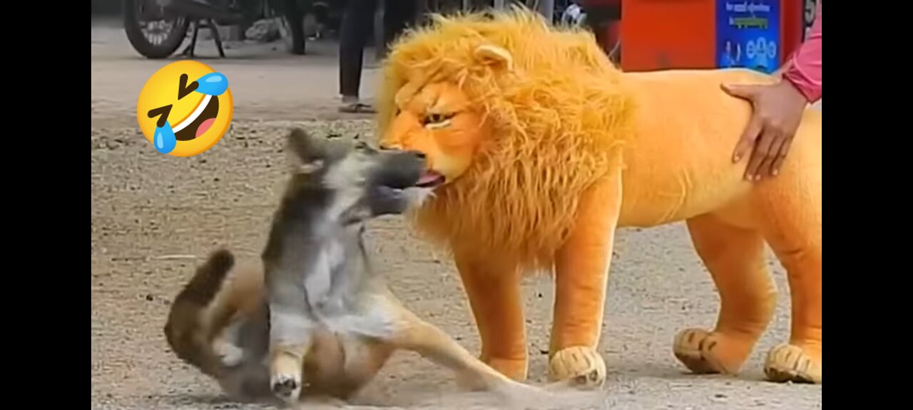 Funny Fake Lion and Fake Tiger Pranks on Dogs 🤣