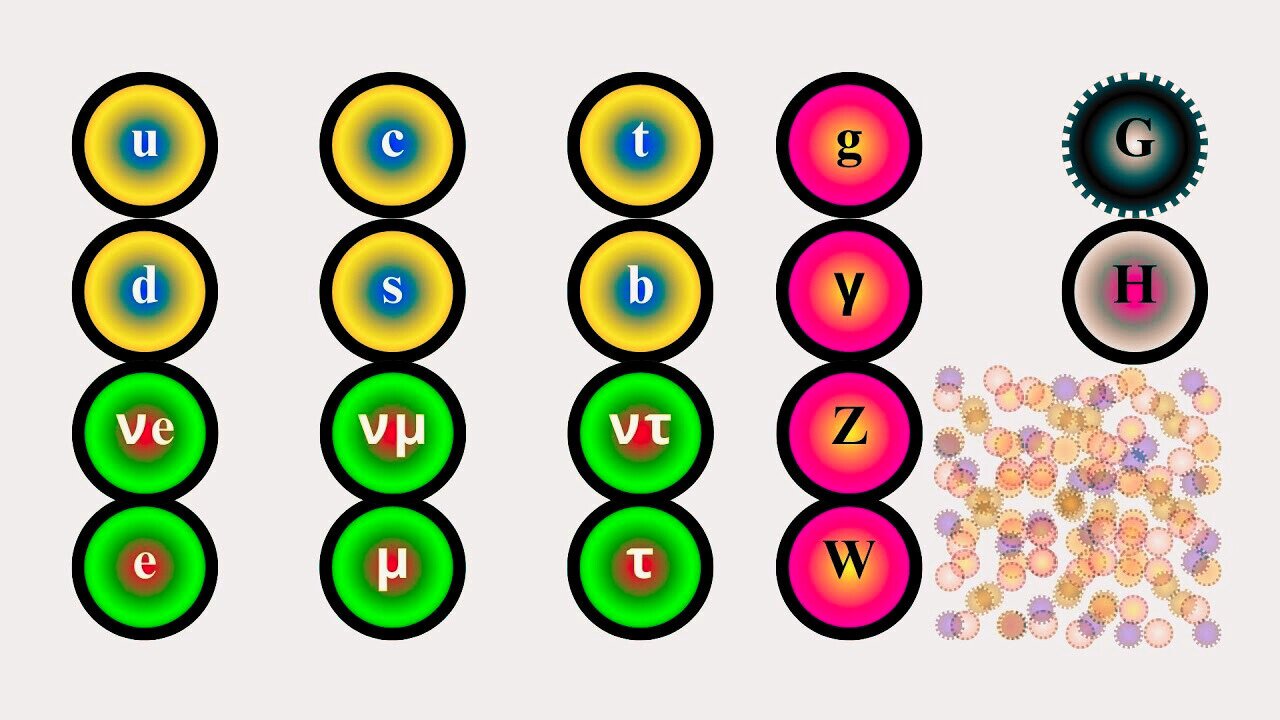 All 17 Elementary Particles Explained (Plus Gravity)