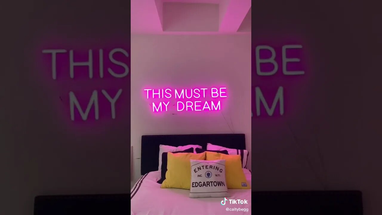 This Is My Apartment I Got From Being An Entrepreneur tiktok caitybegg