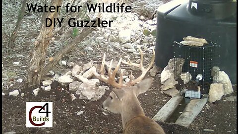 Water for Wildlife, DIY Guzzler