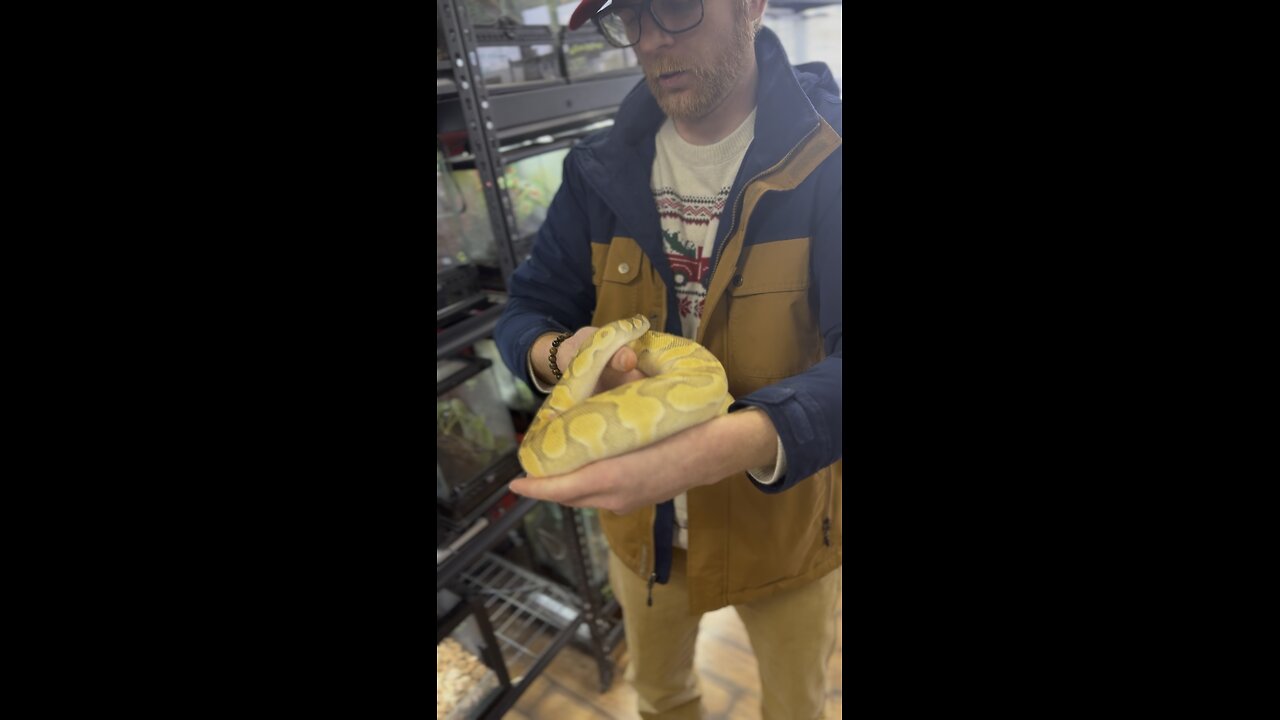 JC On$et hold a snake!