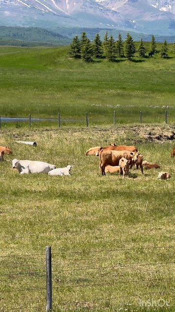 Alberta is Beautiful