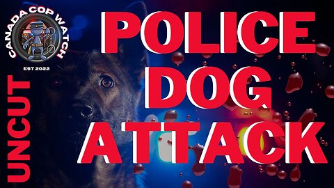 K9 ATTACKS MAN DURING ARREST