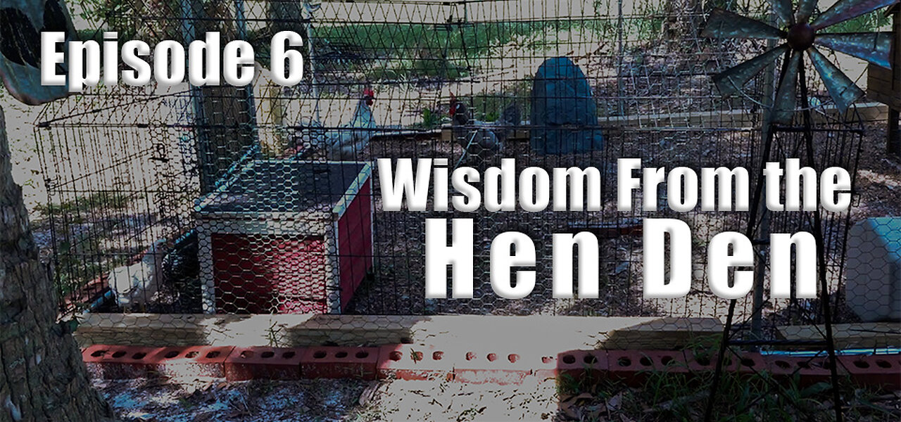 Wisdom From the Hen Den (s1e6) - Chicken Trio