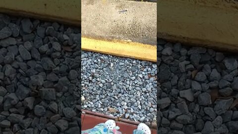 Arm hanging out the window is a #gangstalking tactic.