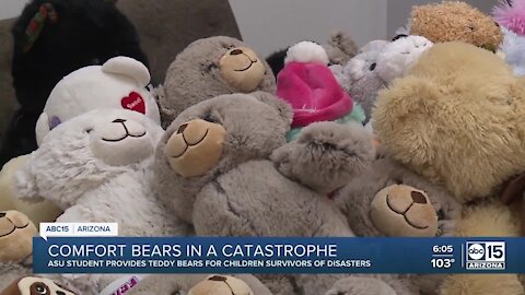 Hundreds of teddy bears destined for New Orleans children