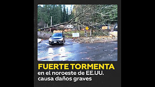 Tormenta devastadora en EE. UU.: árboles caídos y apagones masivos