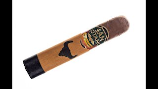 San Lotano The Bull Robusto Cigar Review