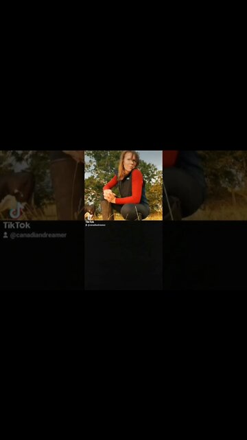 Get Rid of the Small Farmer.