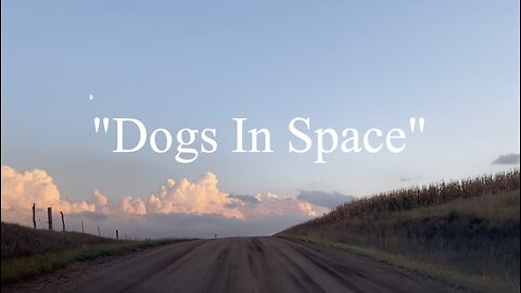 Dogs In Space