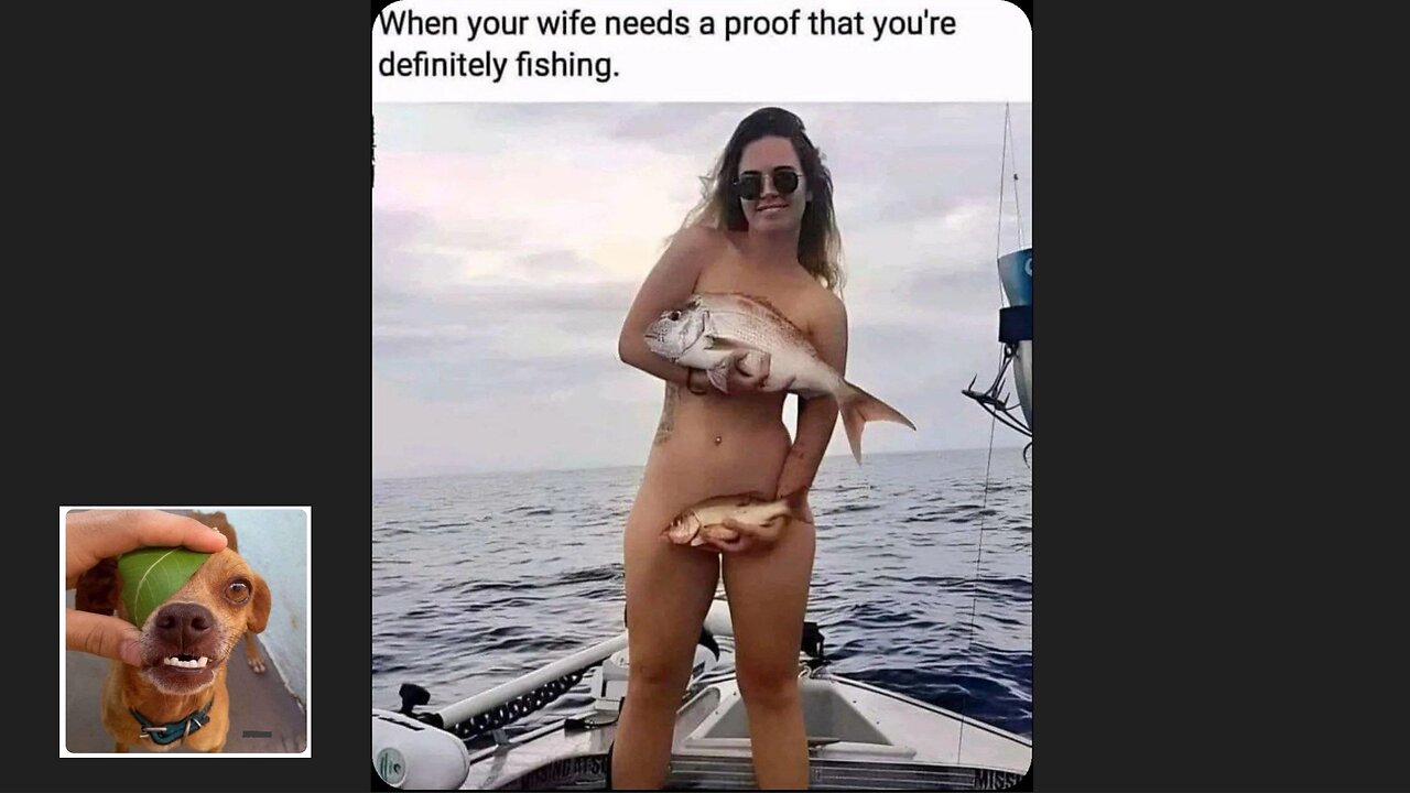 Memes That Will 99.77% Make You Laugh. (e12)
