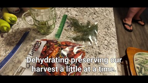 Preserving by dehydrating #everybitcountschallenge