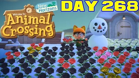 Animal Crossing: New Horizons Day 268 - Nintendo Switch Gameplay 😎Benjamillion