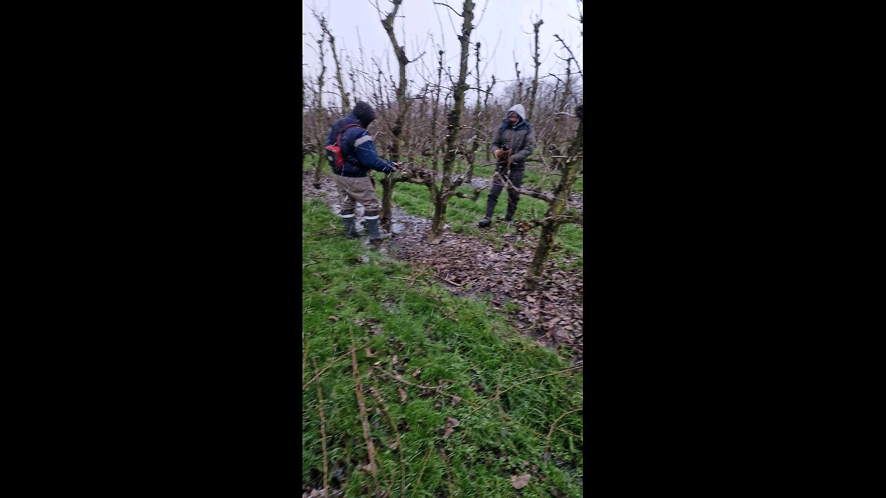 peer cutting in snow part 2